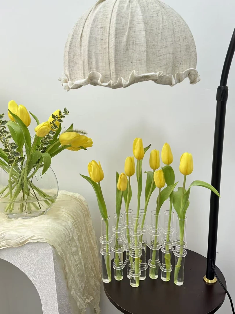 【陌上花开】麦田黄色郁金香-鲜切花