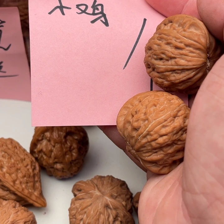 小****摆件摆件摆件摆件