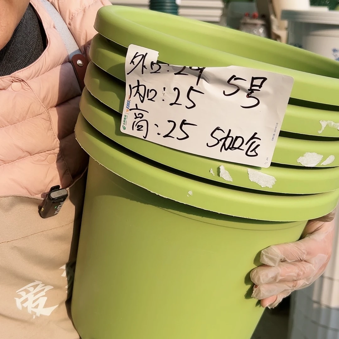 树脂四季盆5#果绿色6个无托