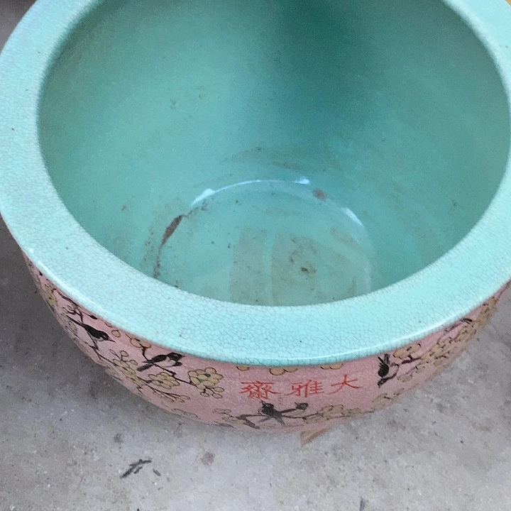 瓷片我也好可爱的啊