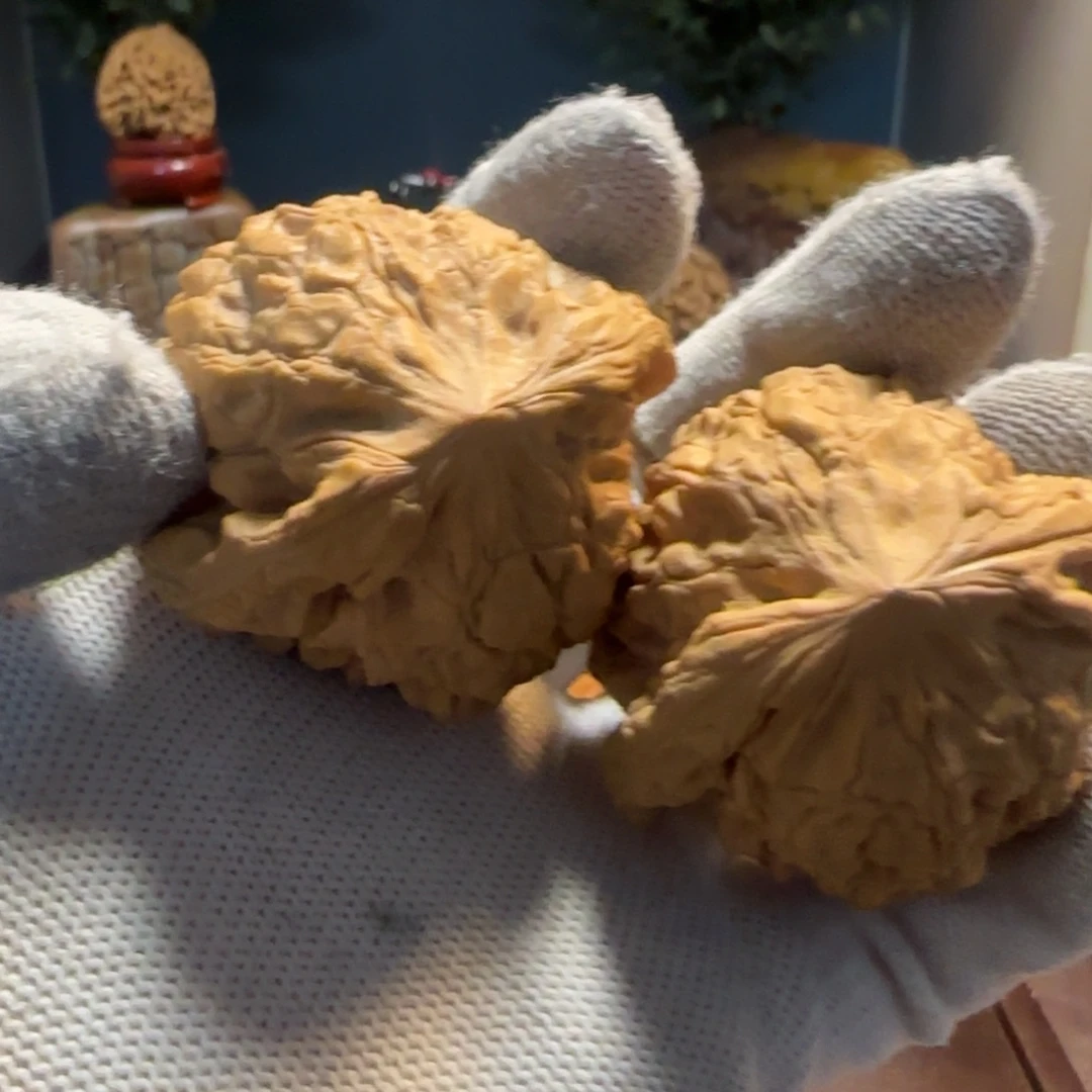 文玩核桃把件龙鼎