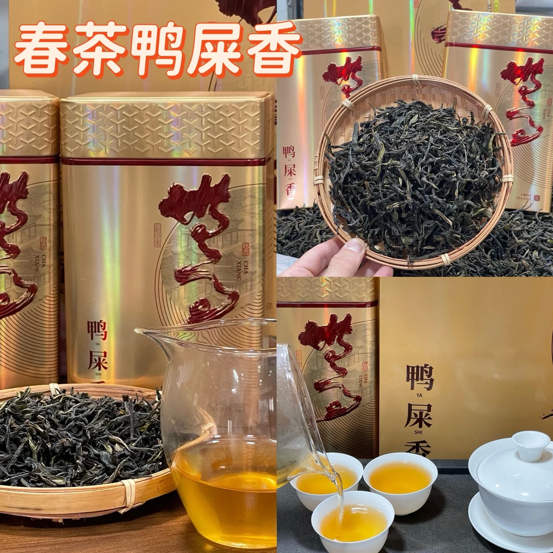 新茶凤凰单丛茶鸭屎香乌龙茶凤凰山原产区茶叶500克袋装礼盒