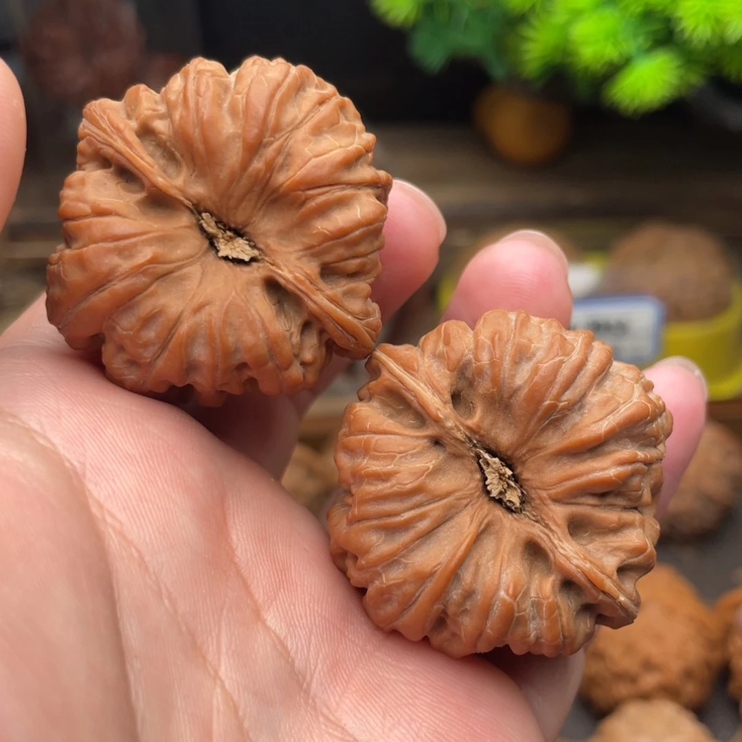 文玩核桃把件G6号40凹底