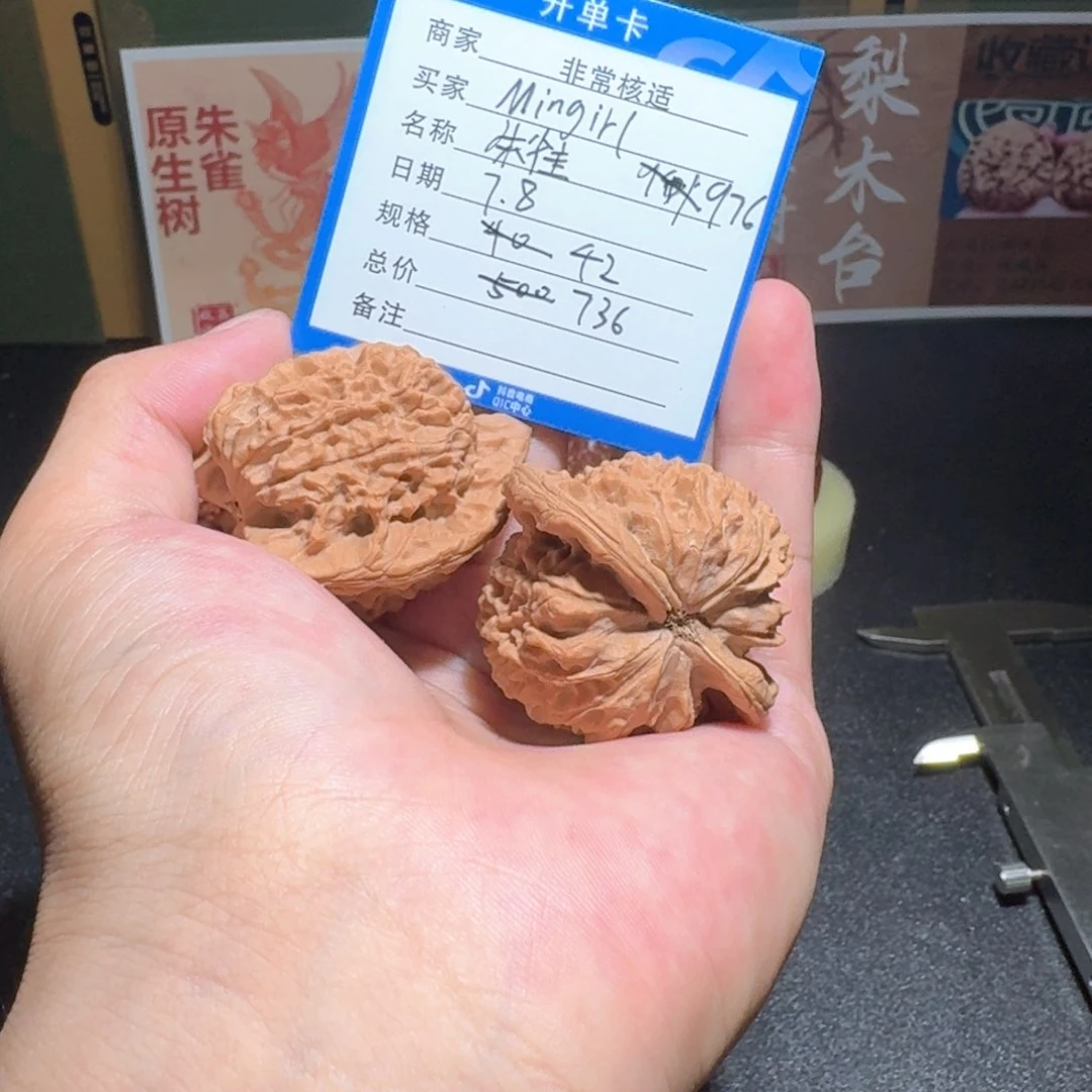 M***i原树朱雀编号976精品