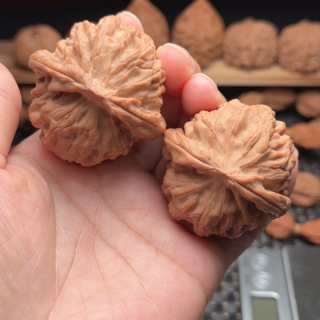 文玩核桃龙鳞43边肚同尺