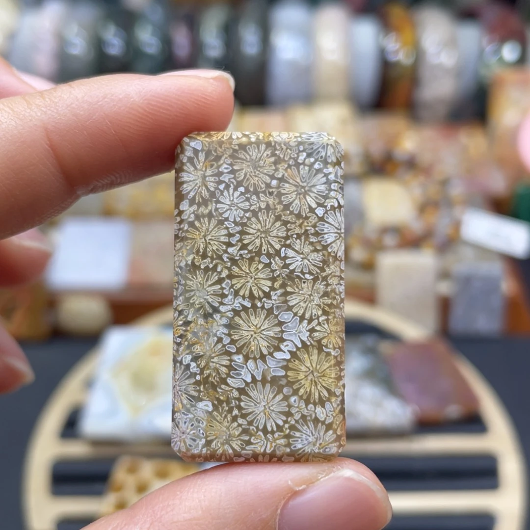 硅化玉未镶嵌颈饰k15