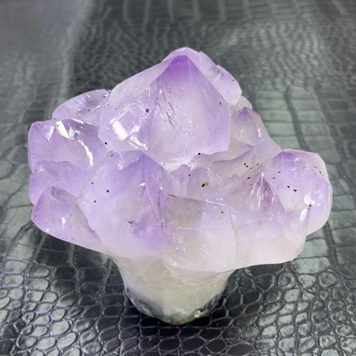 紫大牙花未镶嵌水晶