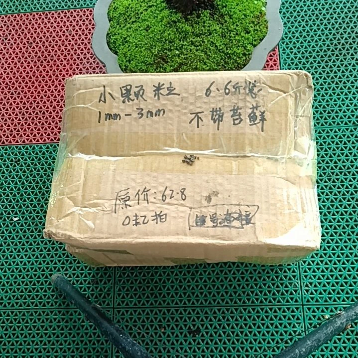 大***风兰菌颗粒   小颗粒6.6斤