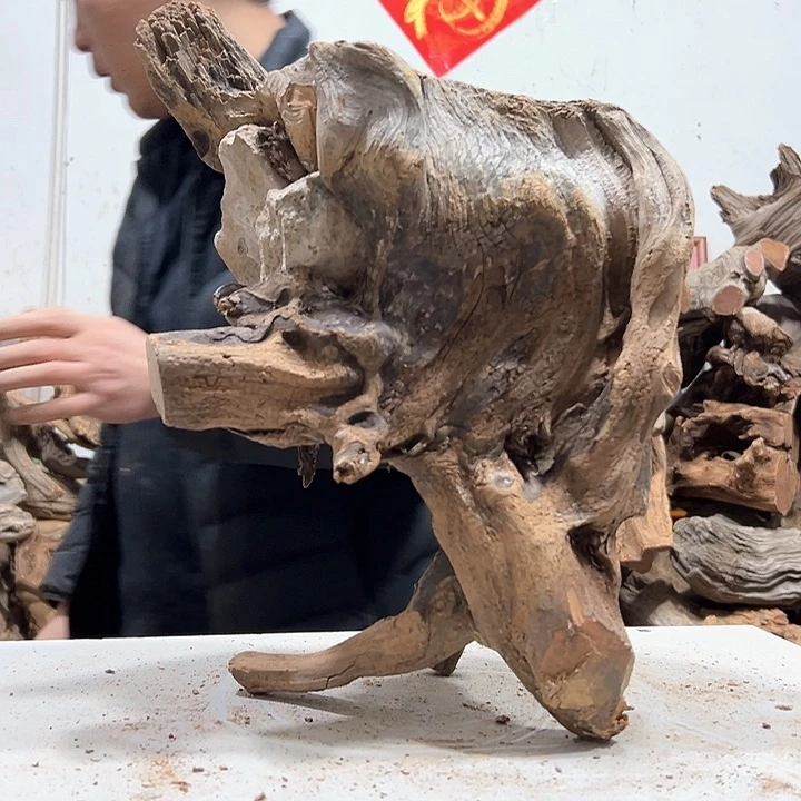 柏木飞****子我们的生活是以自己为