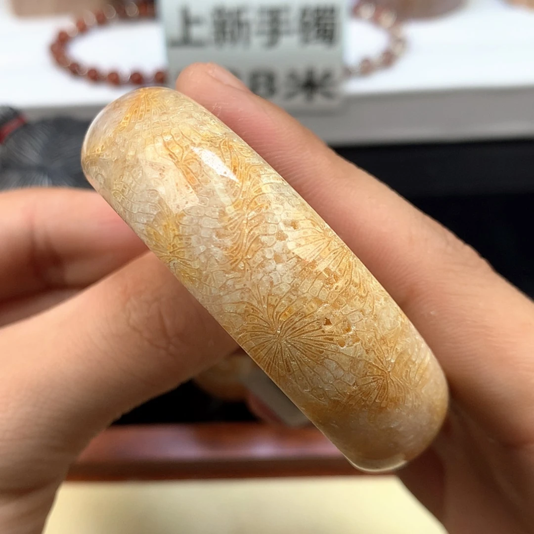 【闪购商品】颈饰未镶嵌硅化珊瑚（珊瑚玉）23号金丝凤尾55圈