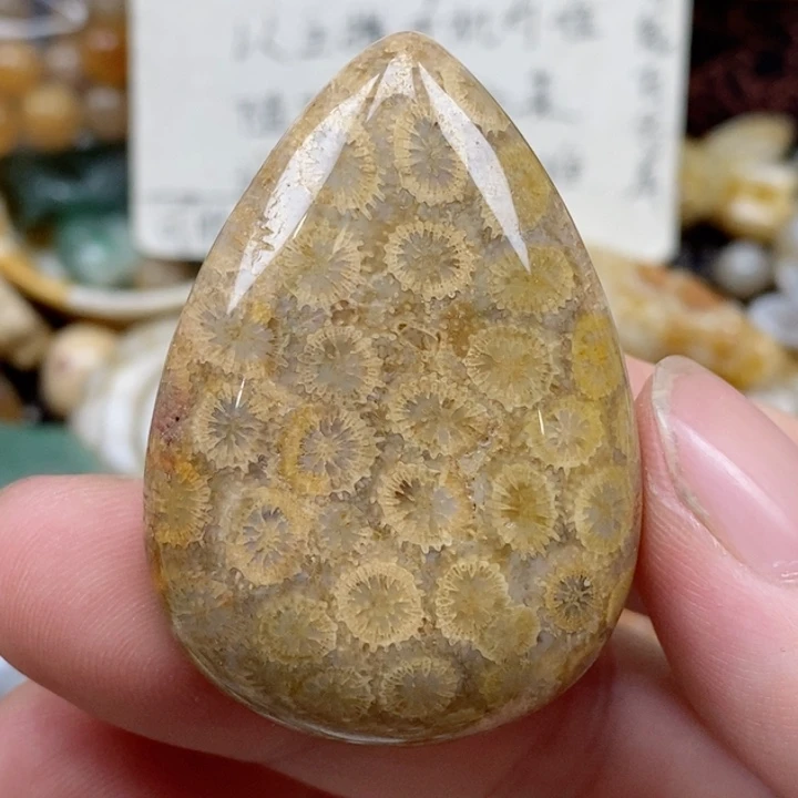 硅化珊瑚（珊瑚玉）未镶嵌颈饰