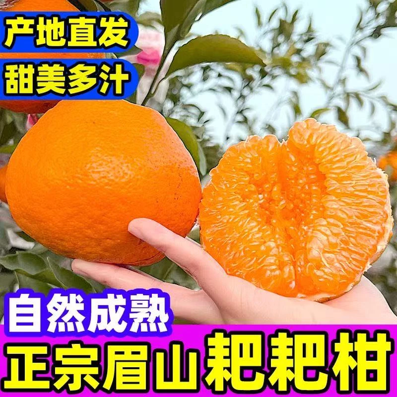 四川春见耙耙柑应季水果鲜甜可口多汁【带叶新鲜发货】手剥维C