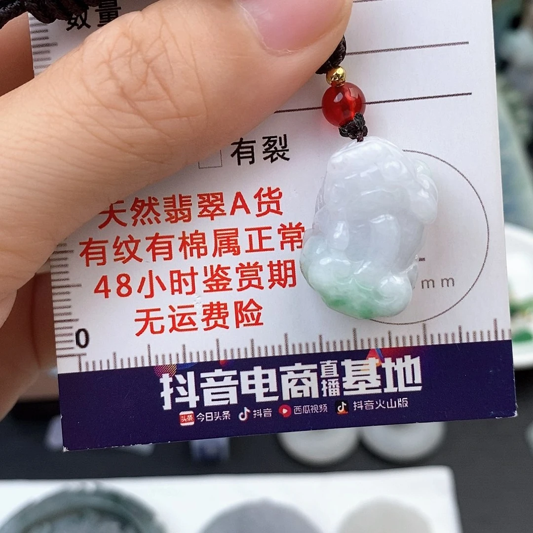 翡翠未镶嵌颈饰貔貅