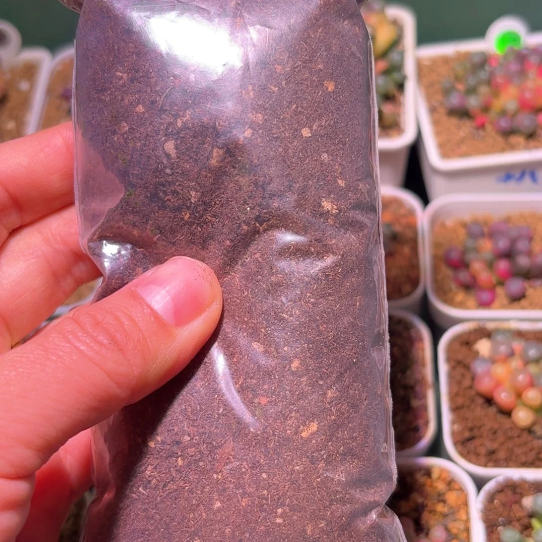 画***眠4包播种土专拍