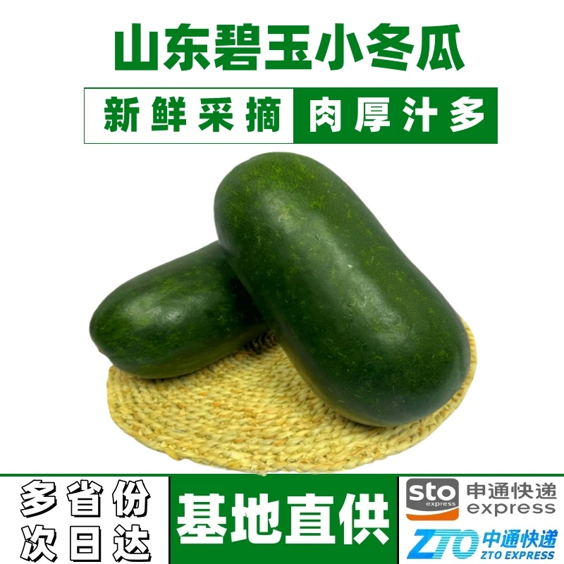 山东碧玉小冬瓜迷你冬瓜非水果冬瓜毛节瓜净重4.5斤1-3个装包邮