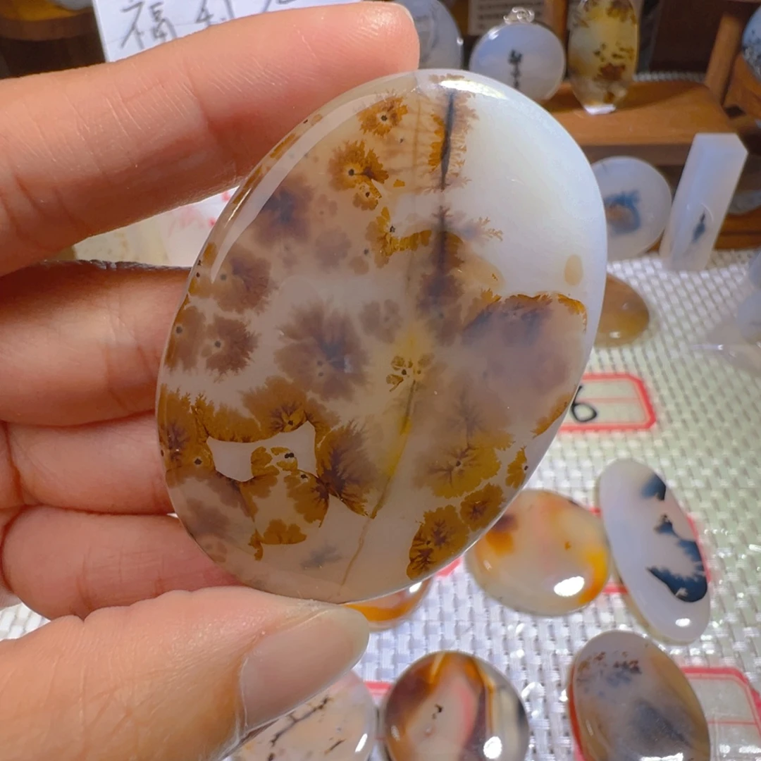 上***↑玛瑙/玉髓未镶嵌颈饰