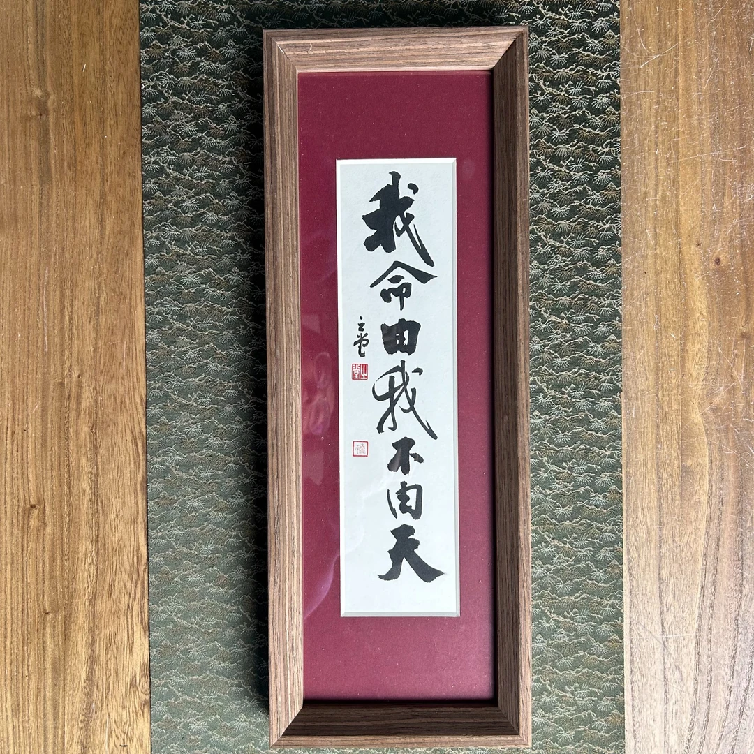 中书协巢清平43*16带框作品-我命作品-手书同款/略有不同