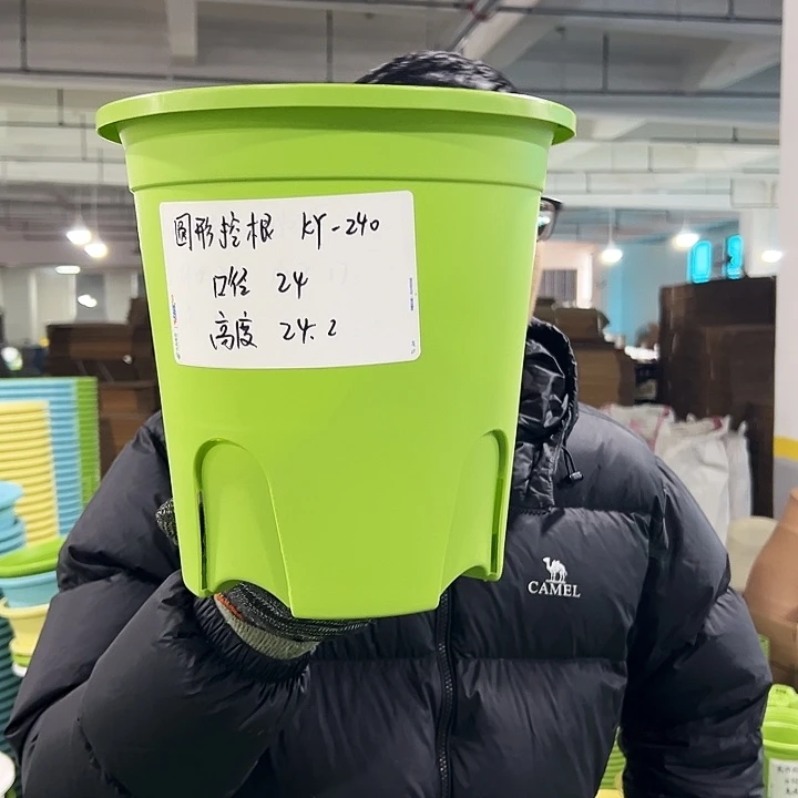 正品圆控口24高24果绿无托5只