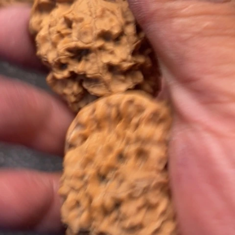 文玩核桃把件官帽20