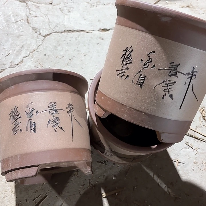 紫砂花盆60-3。   19.5-19