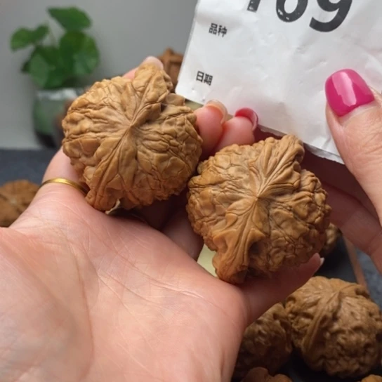 江***饰文玩核桃吊坠52龙鼎169