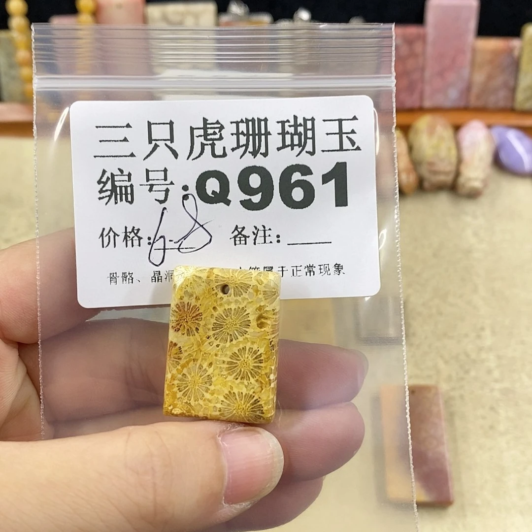 硅化珊瑚（珊瑚玉）1未镶嵌*‍****