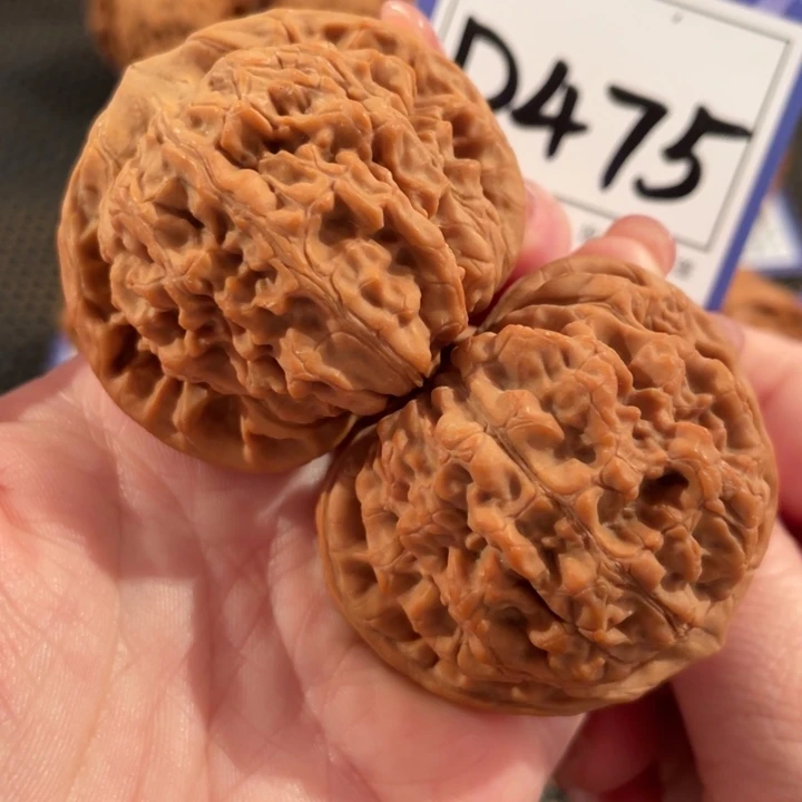 文玩核桃把件D475官帽48