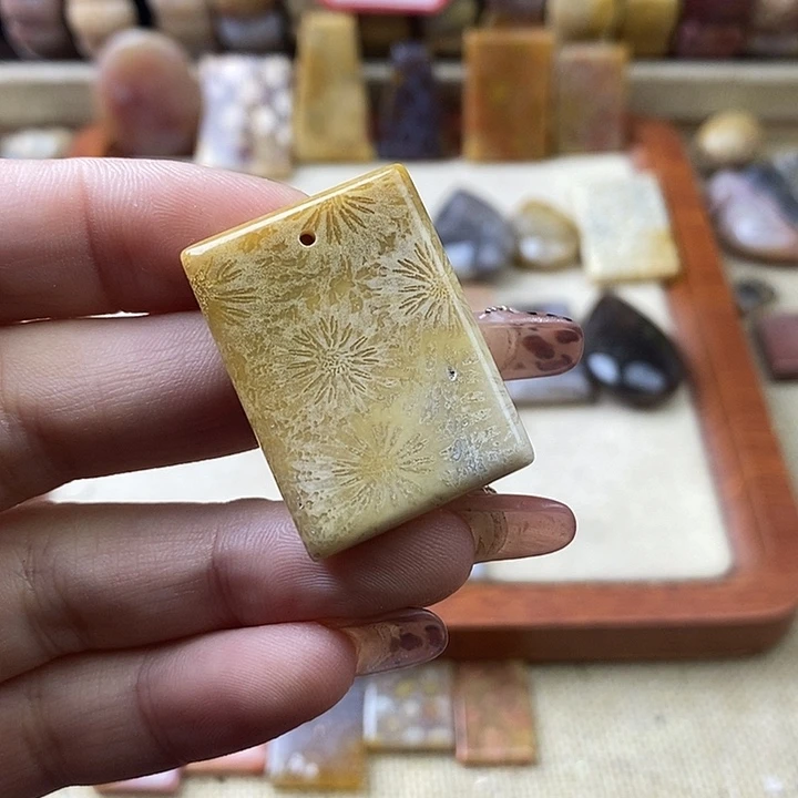 硅化珊瑚（珊瑚玉）未镶嵌颈饰