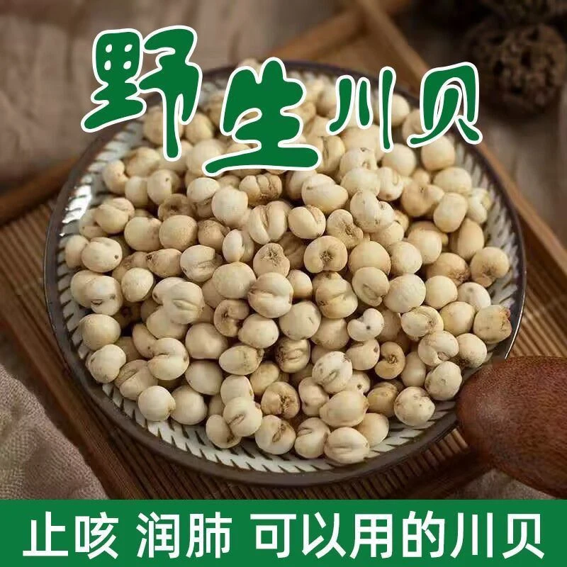 川贝野生正宗特级一等品川贝母正品无硫中药材止咳松贝川贝粉