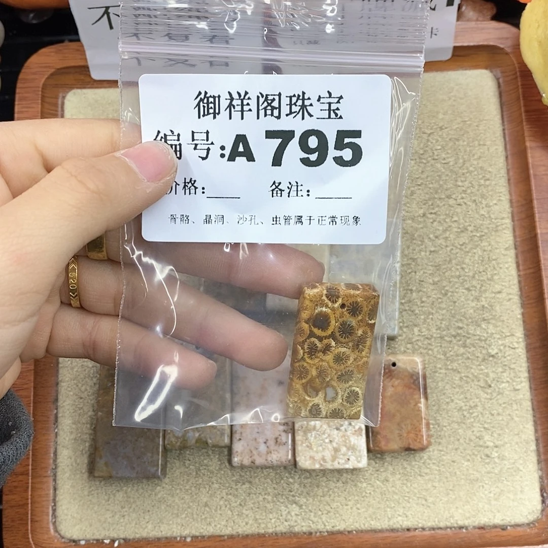 硅化珊瑚（珊瑚玉）颈饰未镶嵌木*
