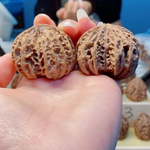 桃核把件东北秋子118