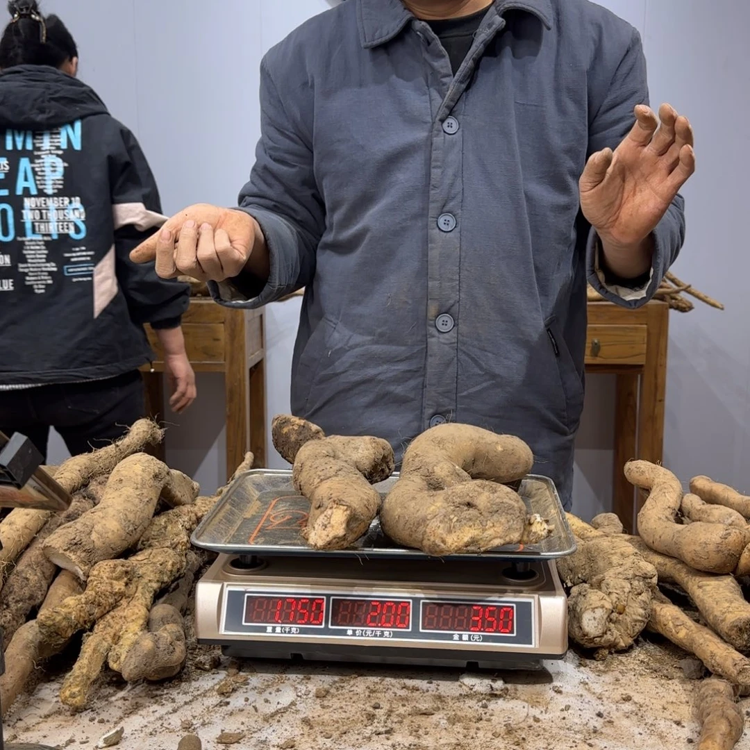 淡***舒中国大陆1111111111