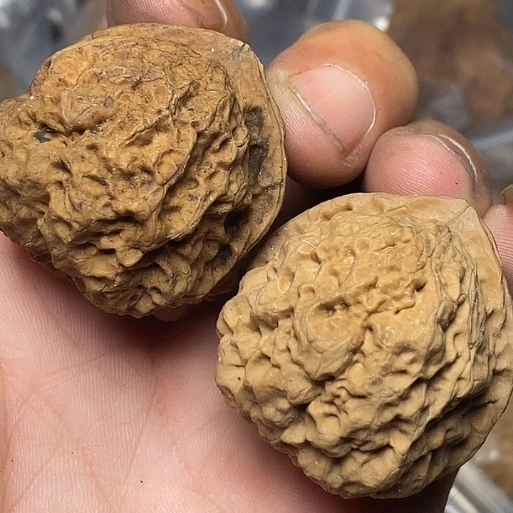 文玩核桃把件云南铁核桃A82