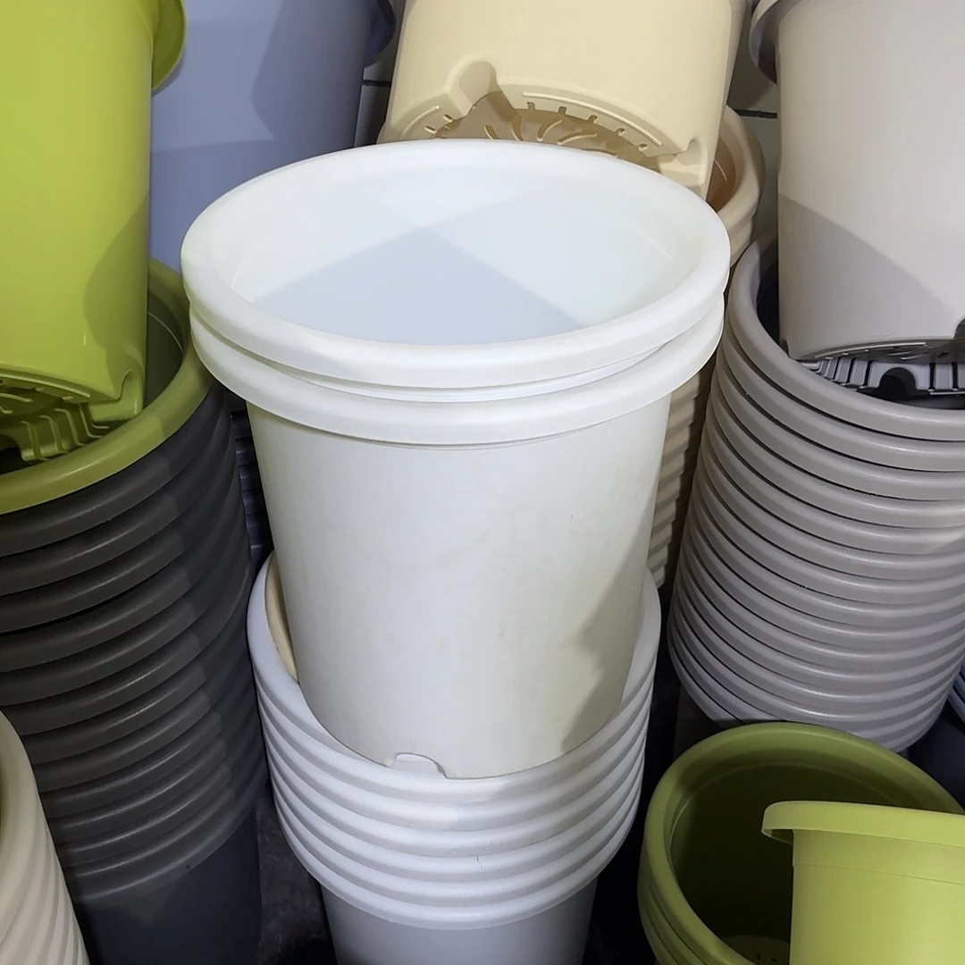 微瑕8号3个无托，白色