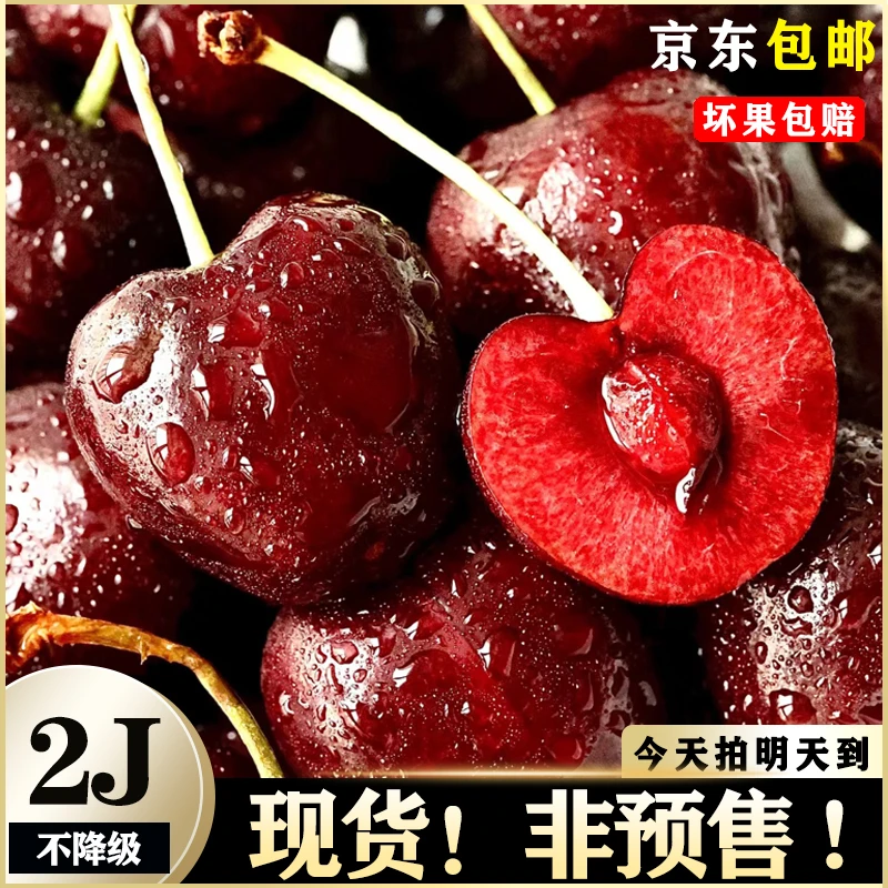 【A咕噜噜明日达】智利进口拉宾斯JD-3JD五斤原箱装车厘子孕妇宝妈放心吃