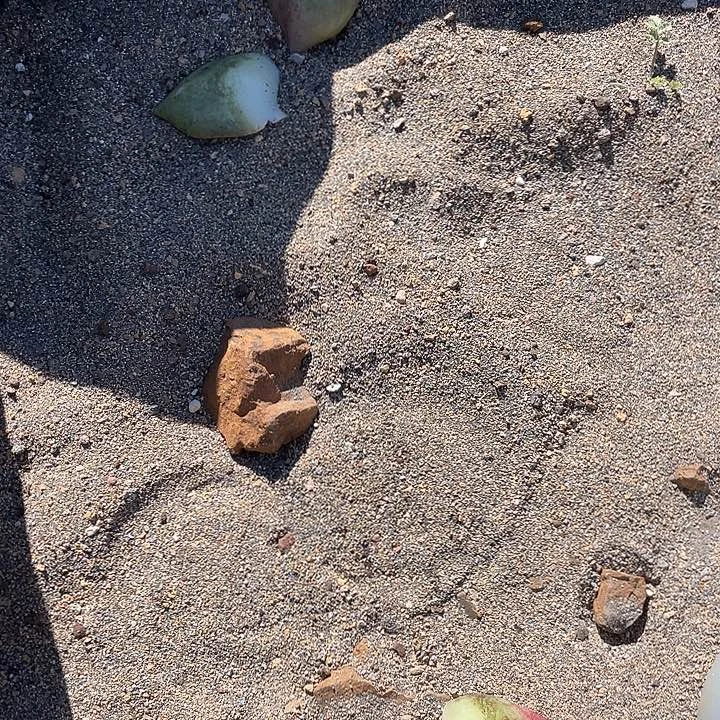 罗***兰若如东云组拍保温箱