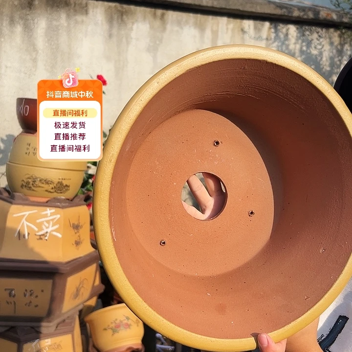 33黄票口花盆花盆花盆花盆