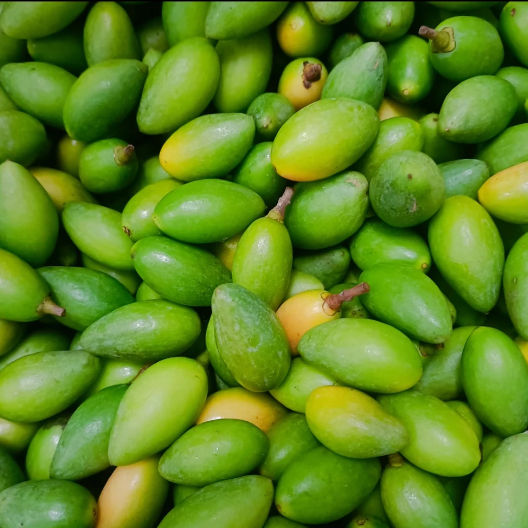 2025福建本地原味新鲜橄榄青橄榄已上市，质量杠杠的