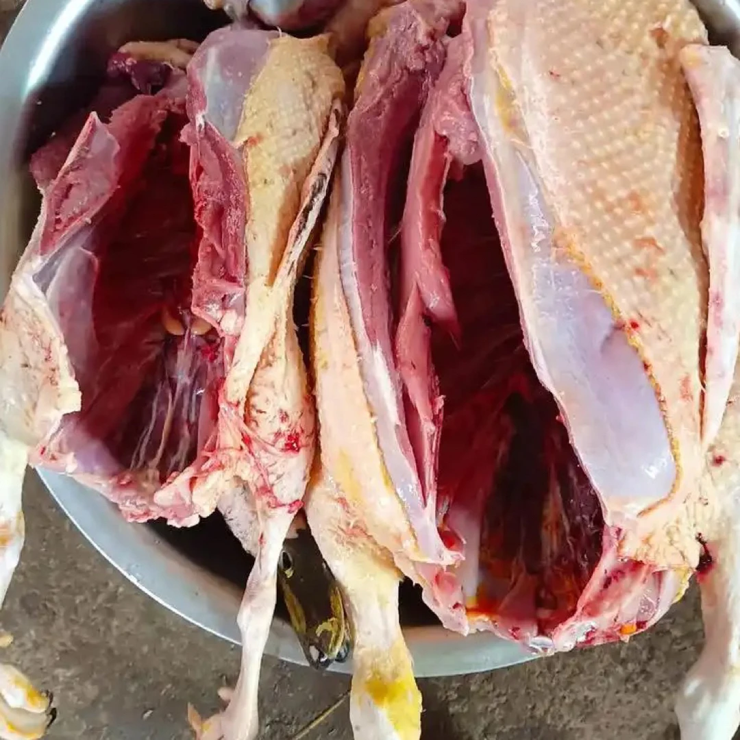 （农村好货）湖南邵阳农村喂粮食散养土麻鸭子鸭肉