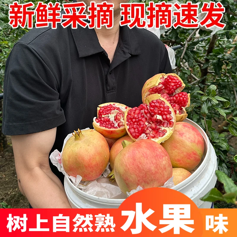 四川会理软籽石榴新鲜采摘爆甜多汁不吐籽精品大果