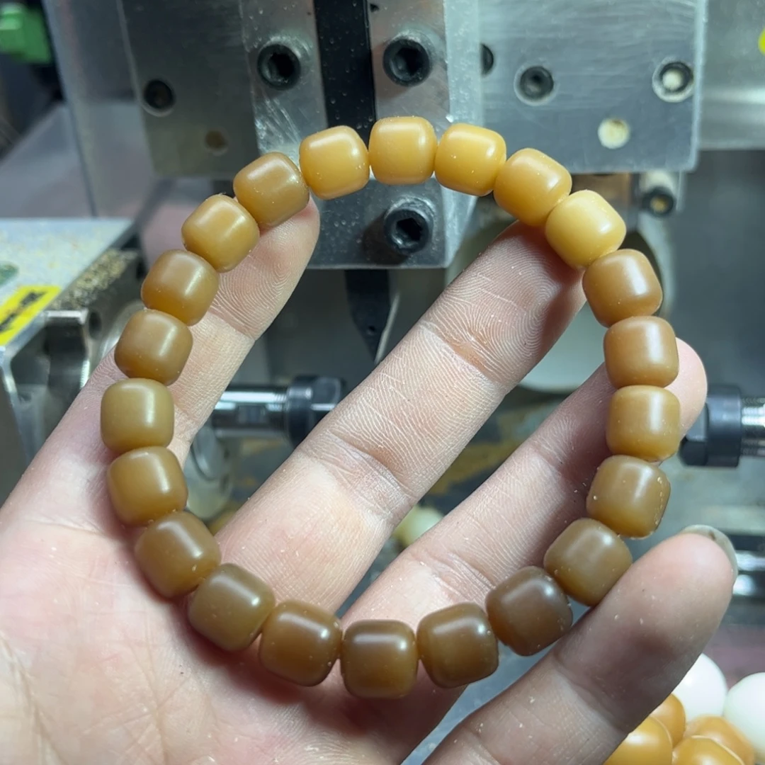 手串菩提根/象牙果