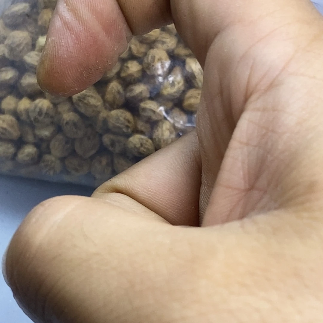 王***子柏香籽/百香籽手串