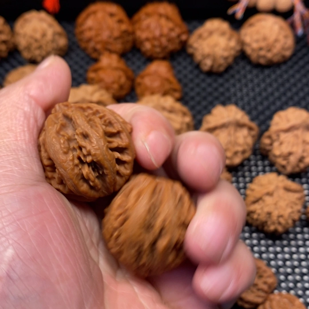 风***吹你要的不是这样做就