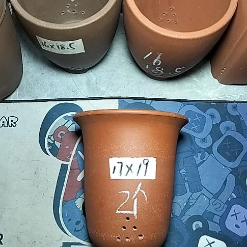 红泥小金钟两个花盆花泥