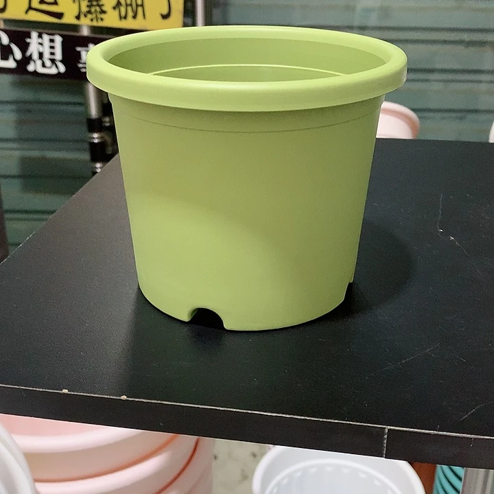 四季口18高15绿5个无托