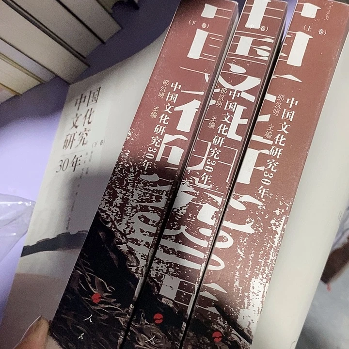中国文化研究30年