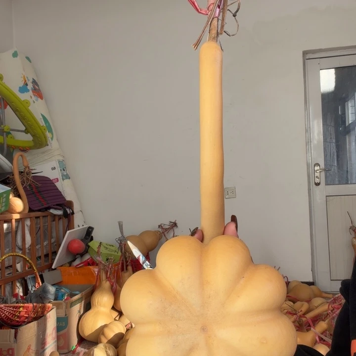 龙***直播间价格专用价