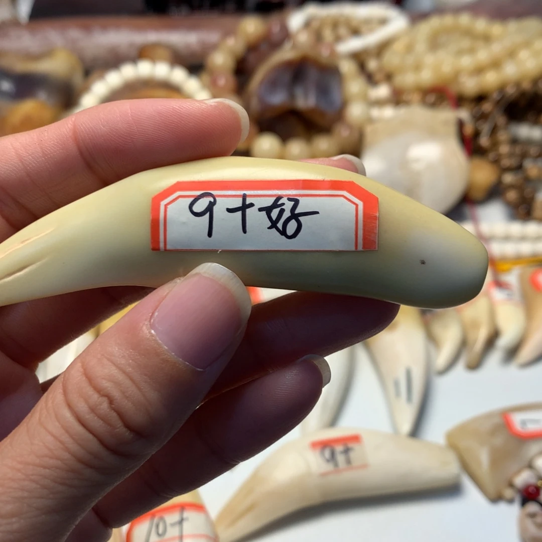 龙***哥驼骨把件驼骨把件白白牙牙