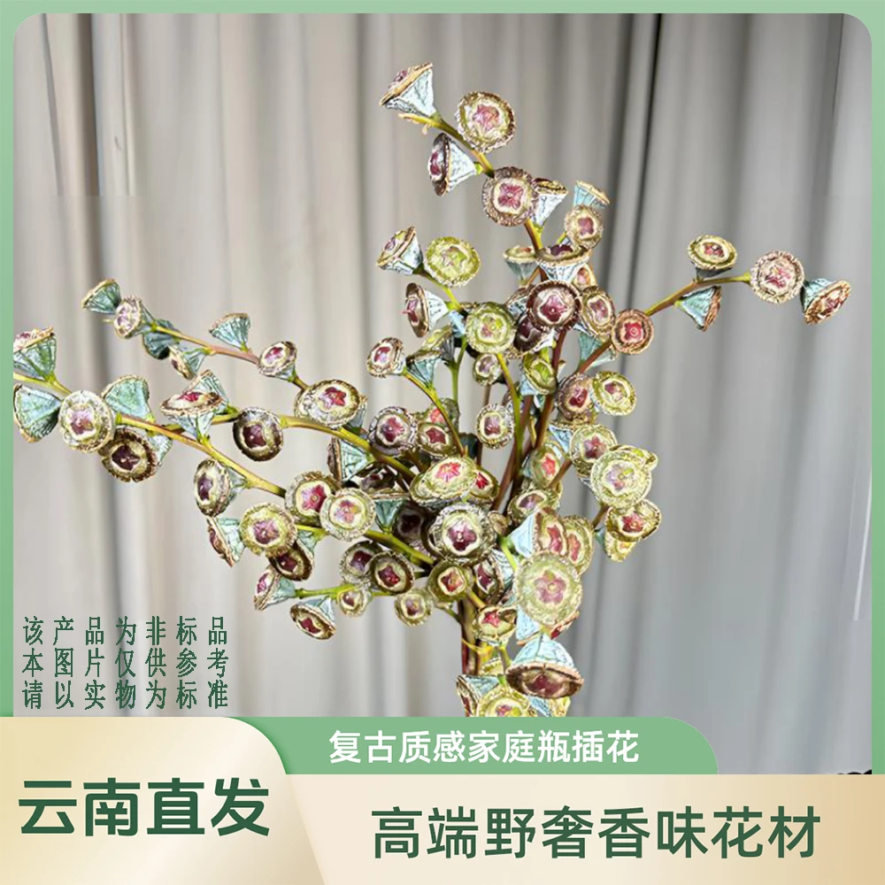 【尤加利果】复古风野奢清香花材做干花无需水养家庭瓶插花观赏期长