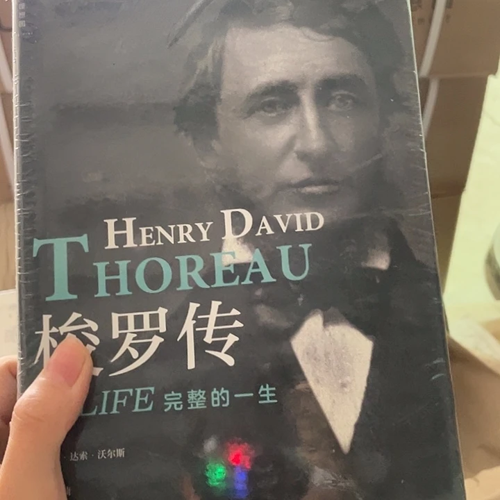 梭罗传：微瑕微瑕微瑕